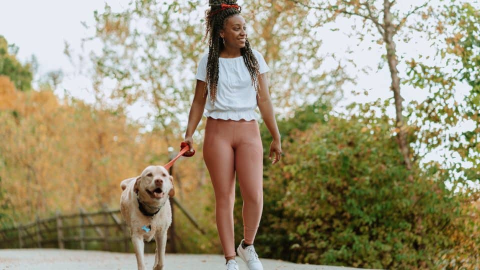 How To Prevent Dog Walking Injuries